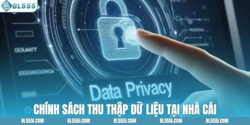 Chính sách thu thập dữ liệu tại nhà cái