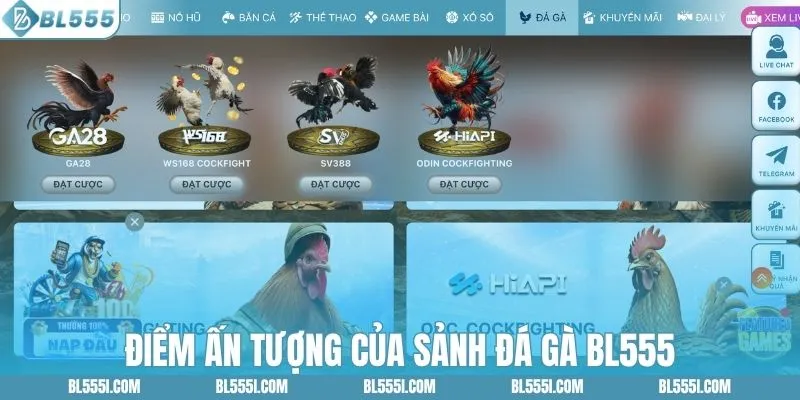 Điểm ấn tượng của sảnh đá gà BL555