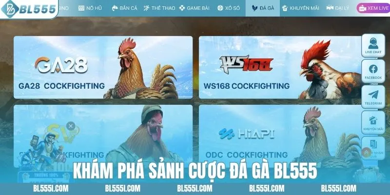 Đá Gà BL555 - Cược Ngay 100+ Trận Đấu Kịch Tính Mỗi Ngày 1 Khám phá sảnh cược đá gà BL555