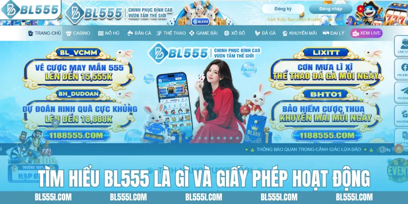 Tìm hiểu BL555 là gì và giấy phép hoạt động